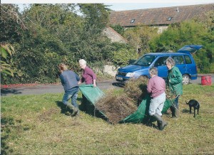 Clearing the meadow